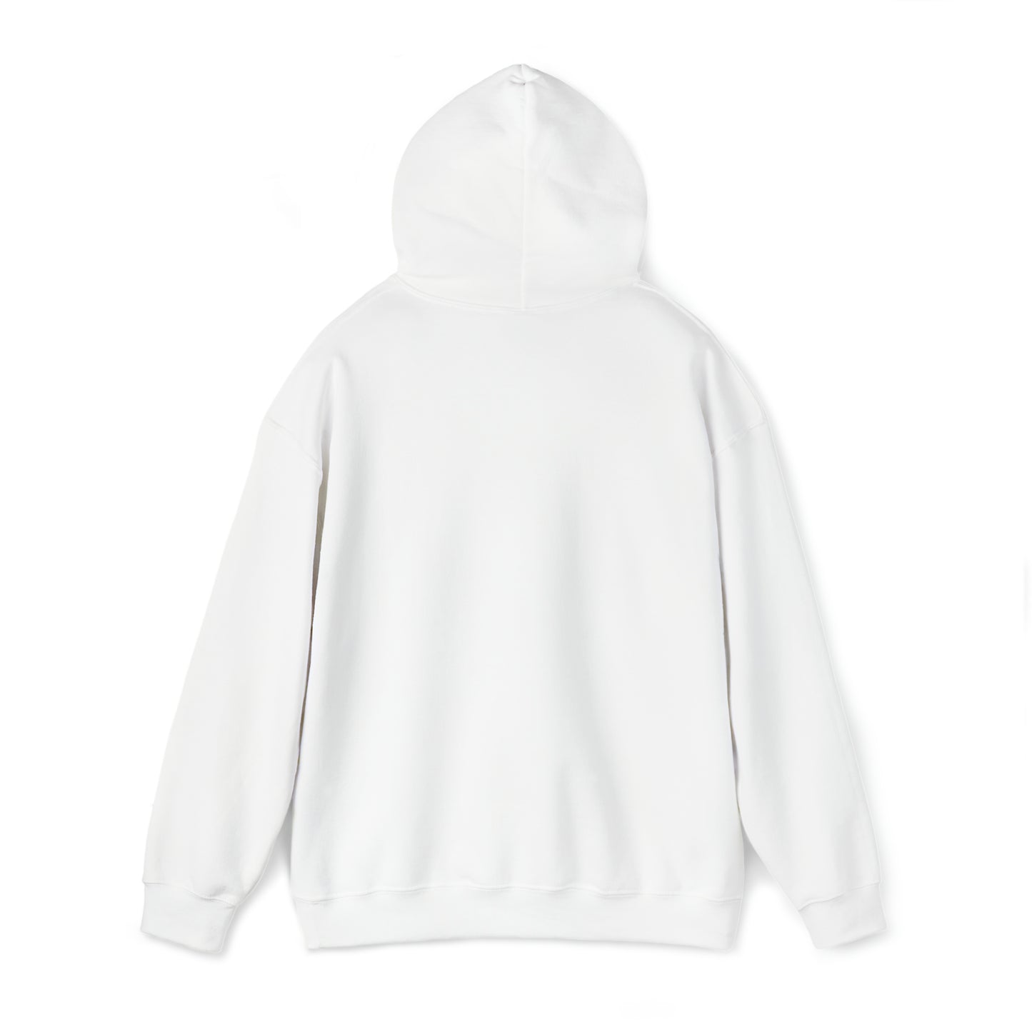 WILLERT PARK Hooded Sweatshirt